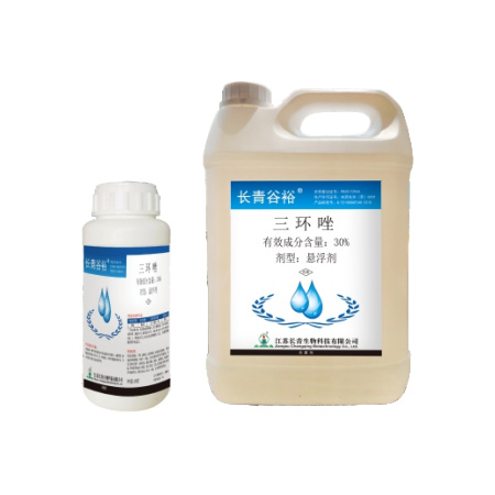 長(zhǎng)青谷裕?